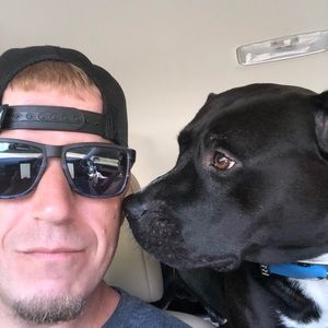 Meet your Posher, Donald